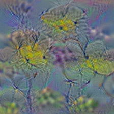 n11879895 rapeseed